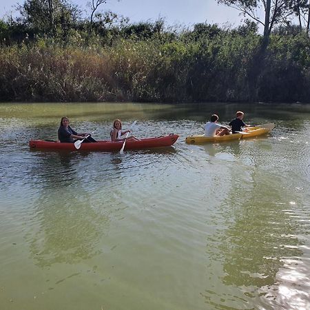 אדו Avoca River Cabins מראה חיצוני תמונה